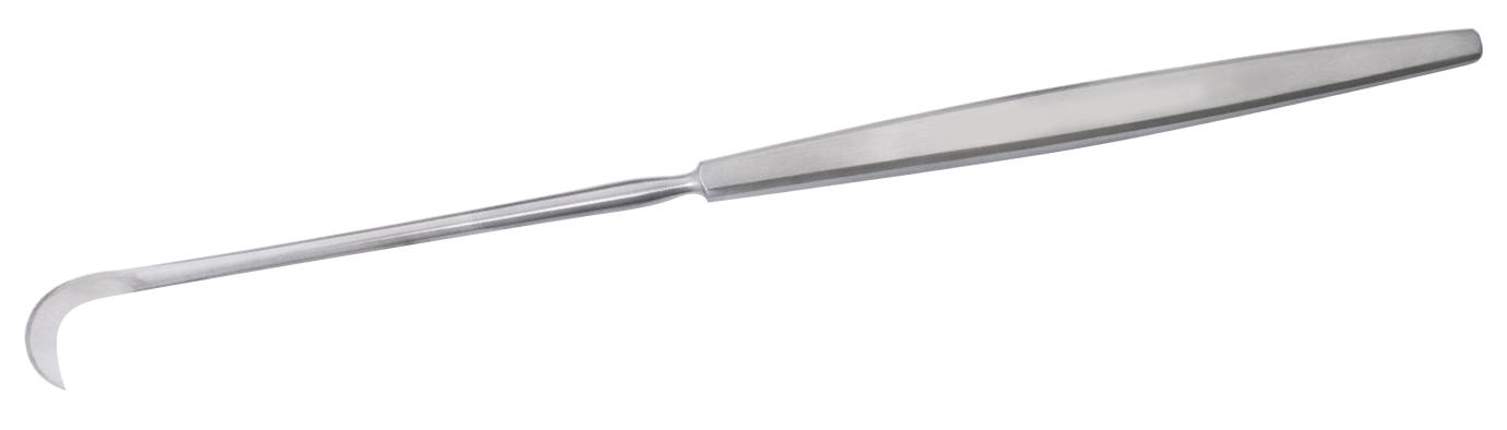 Faux de Ruault mousse-0