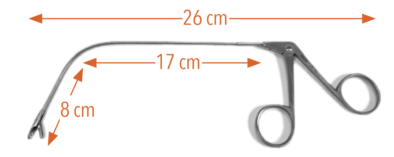 Pince de Yatho - mors supérieur mobile-19303