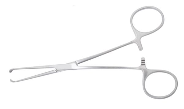 Pince de museux 18 cm démontable