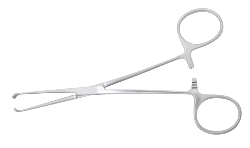 Pince de museux 24 cm branche passée