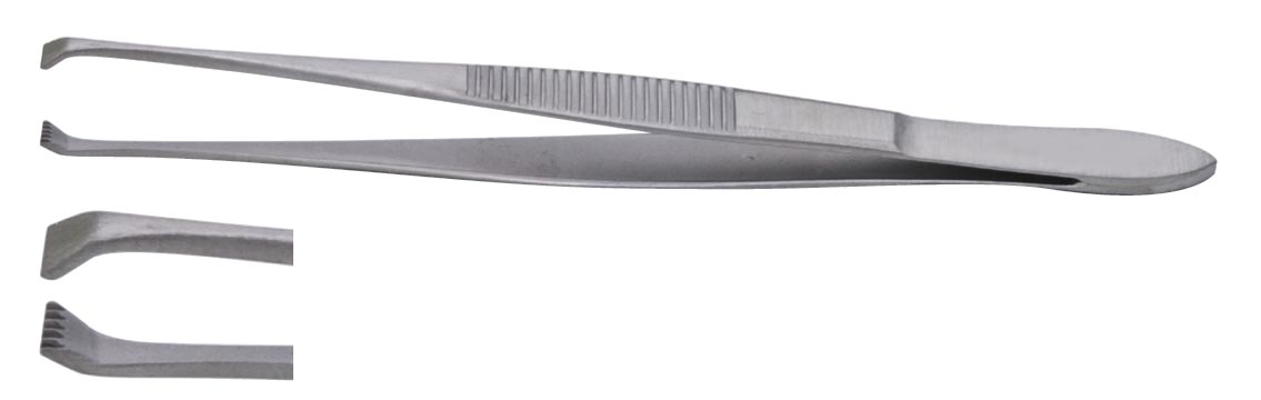 Pince à dissection de Claoue-0