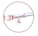 Insert SP18 – Image 2